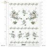 rumianek, łąka, ogród, białe kwiaty,  kwiatki, ornamenty kwiatowe, R680, camomile, meadow, garden, white flowers, flower ornaments, Kamille, Wiese, Garten, weiße Blumen, Blumenschmuck, manzanilla, prado, jardín, flores blancas, flores, adornos florales